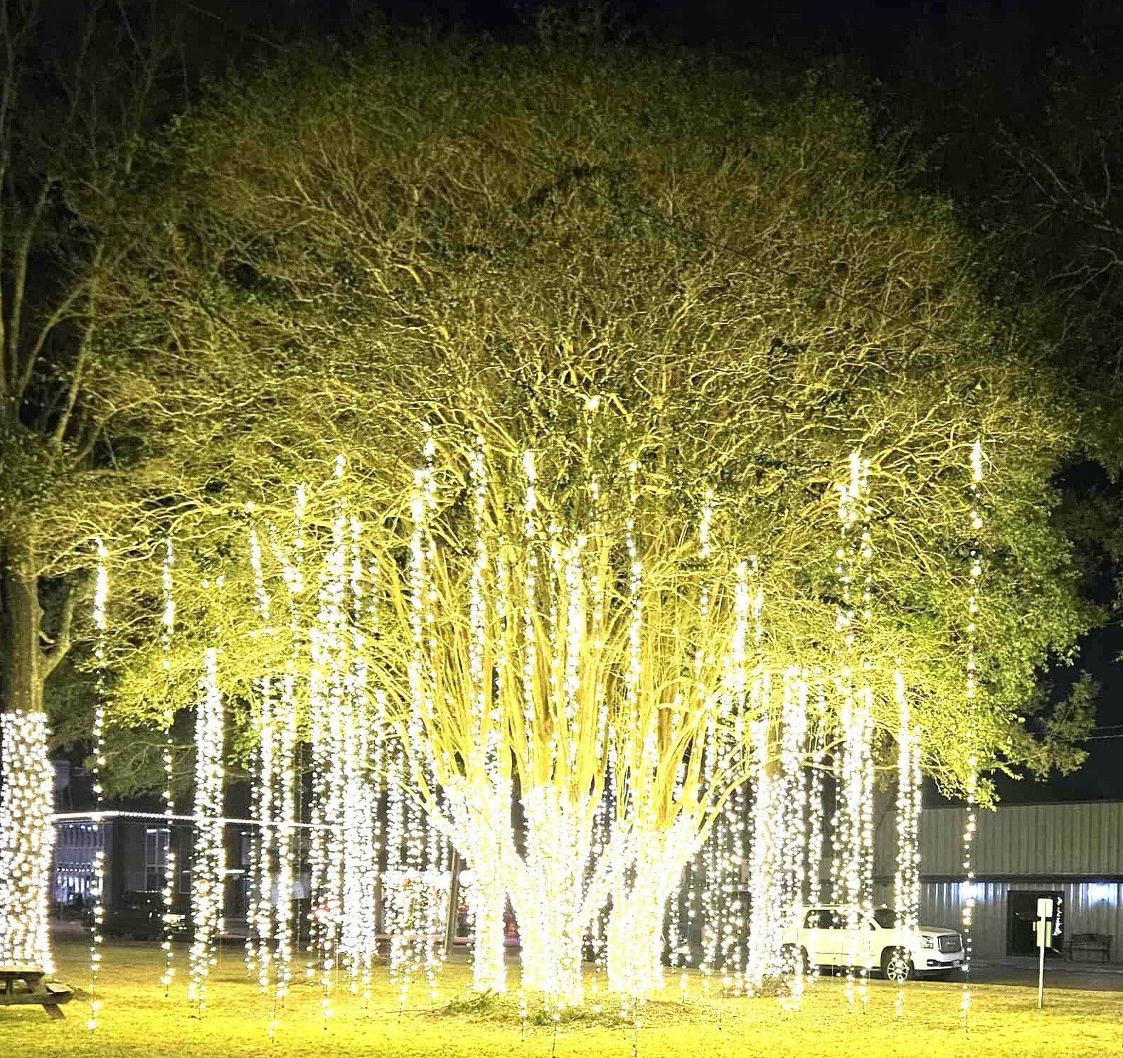 Lights in Liberty Christmas  Lights 2025 sponsorships and donations