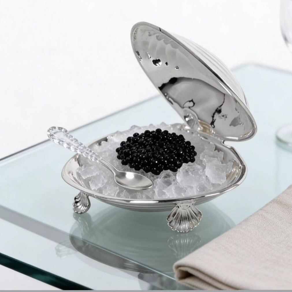 Schelp Zilver plated