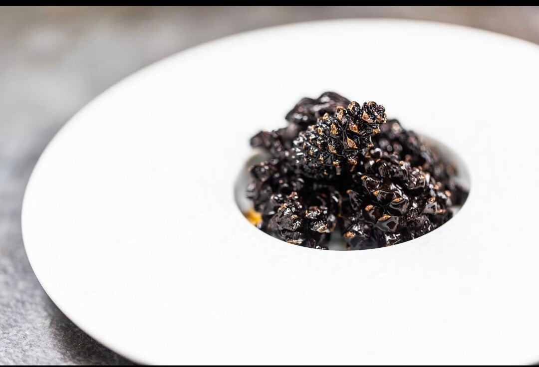 Dennenappels in Berkensiroop (500 ml)