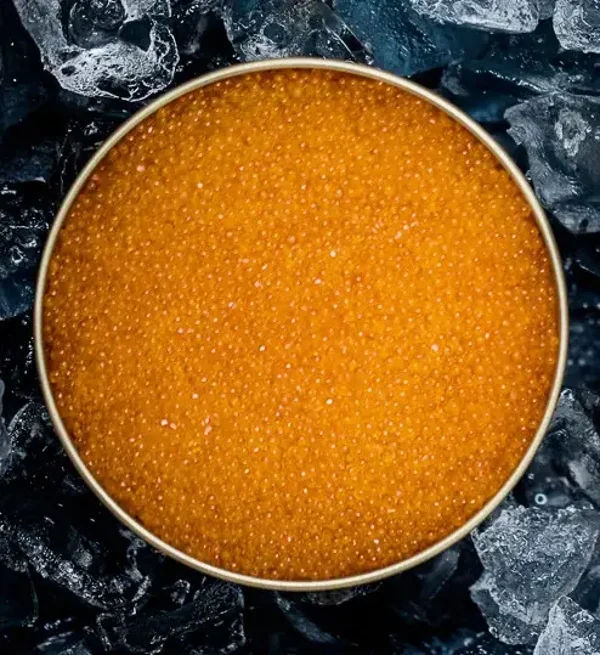 KALIX LÖJROM - Zweden