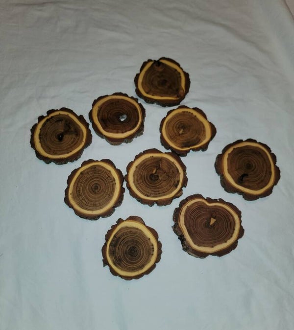 4" Black Locust Coasters
