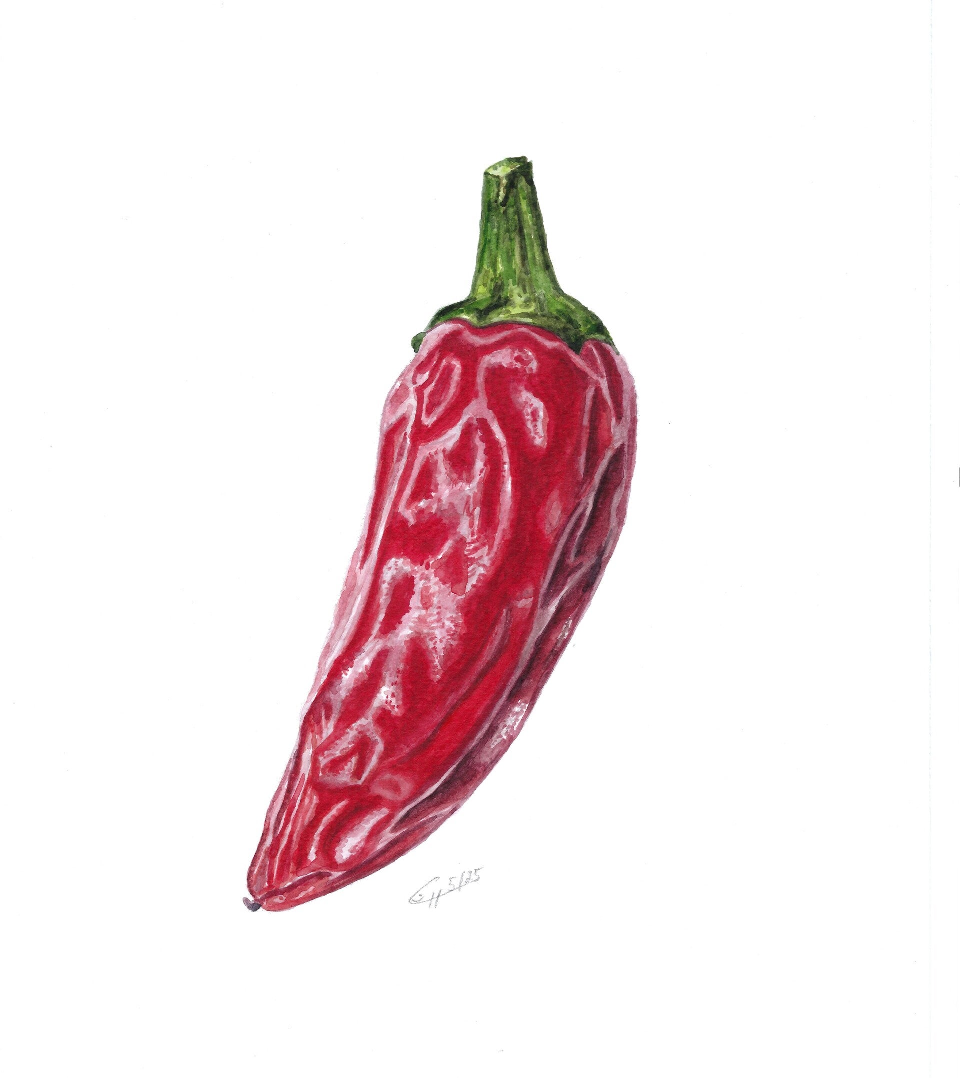 Chili