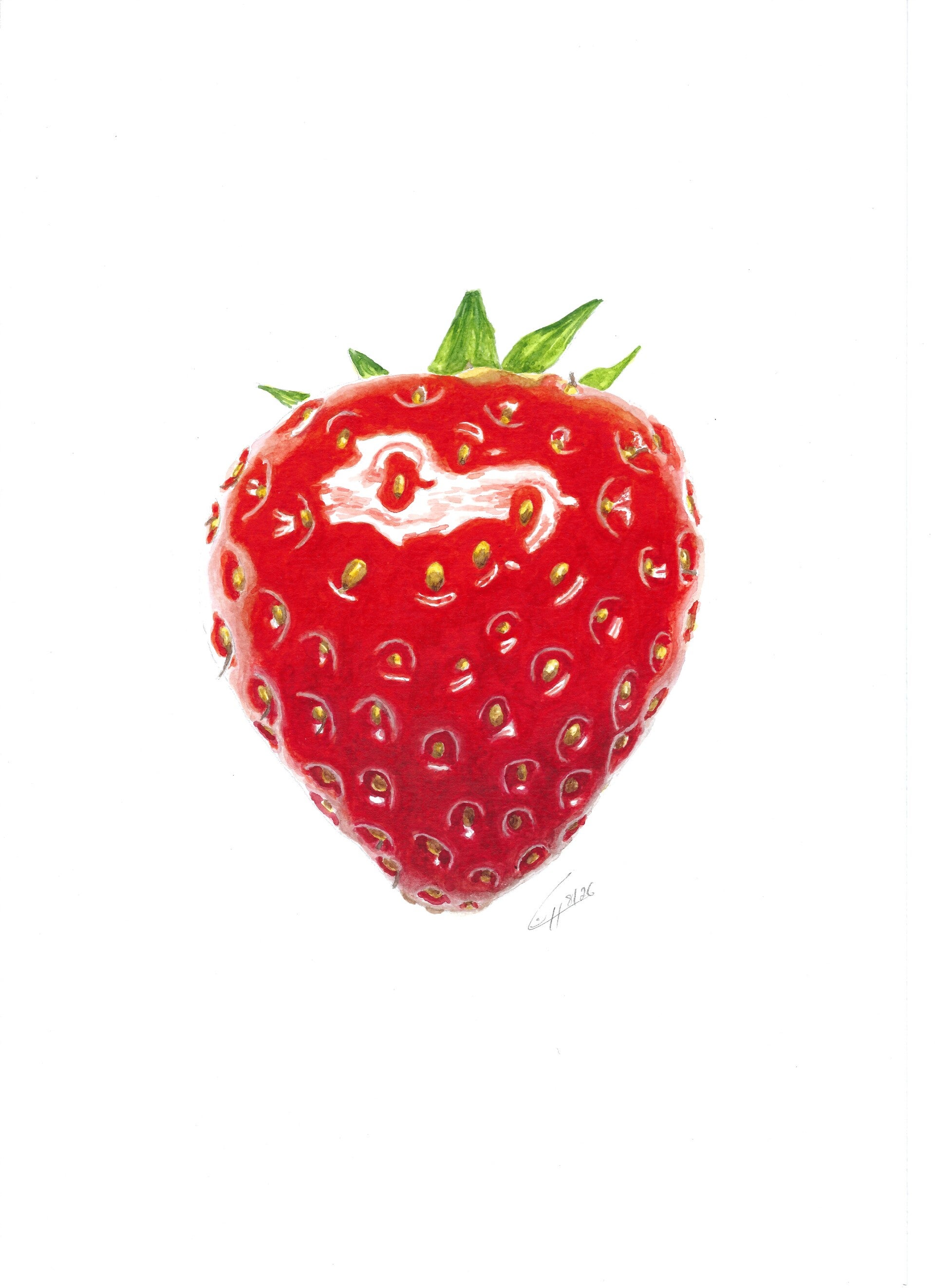 Erdbeere