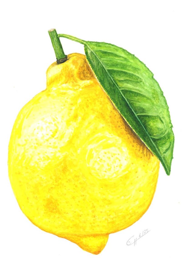 Zitrone mit Blatt