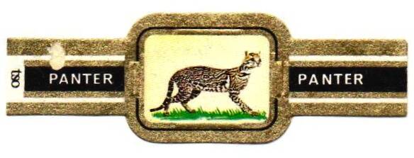 1_01-standard-jr6hi7.jpg