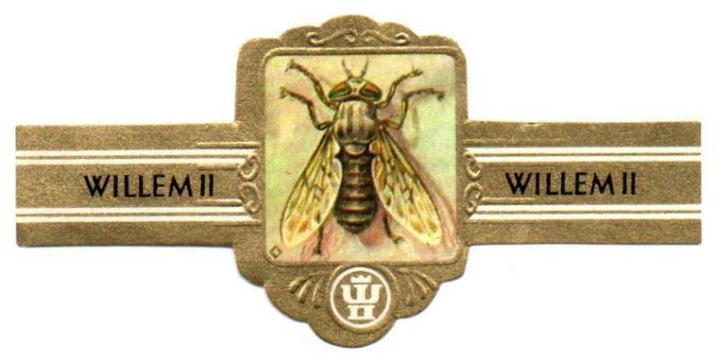 1_01-standard-xduqui.jpg