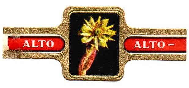 1_02-standard-237sa6.jpg