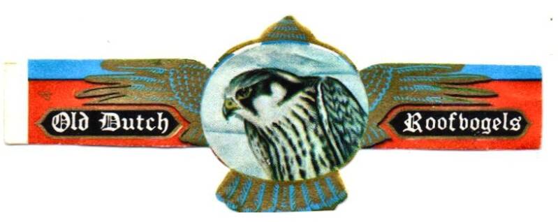 1_02-standard-ohcggy.jpg