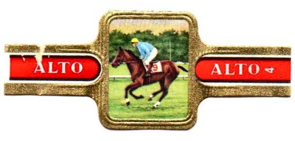 1_02-standard-ojecbe.jpg