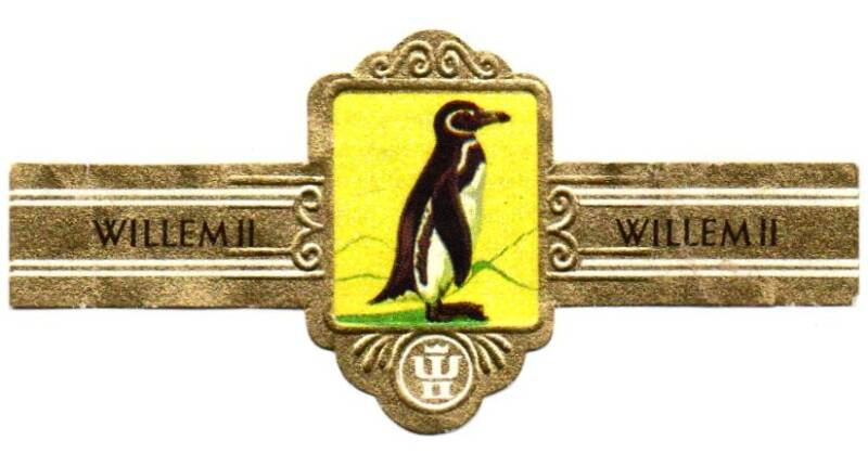 1_02-standard-xxknf9.jpg