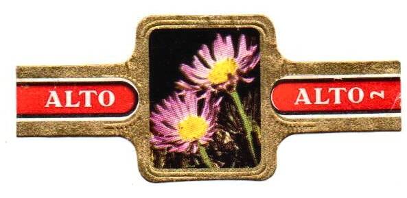 1_03-standard-26j91z.jpg