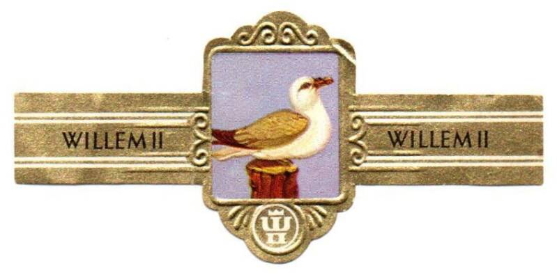 1_03-standard-y59dwc.jpg
