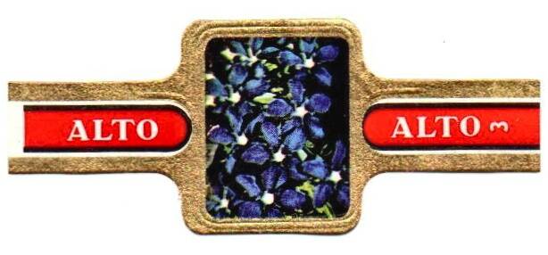1_04-standard-2x1bo7.jpg