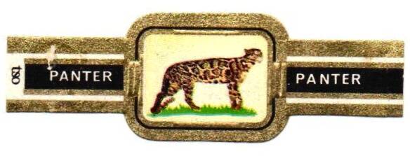 1_04-standard-vjf0fz.jpg