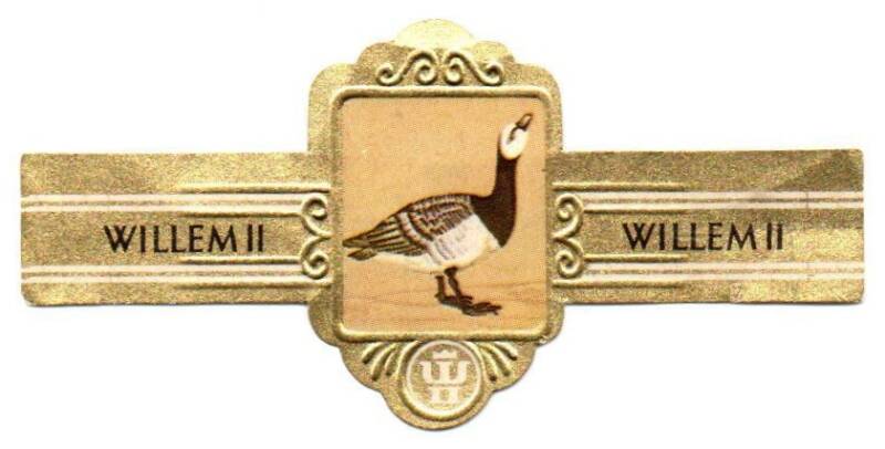 1_04-standard-x3grcq.jpg
