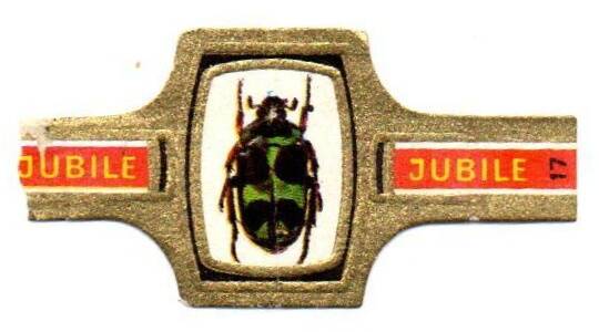 1_05-standard-qsgru2.jpg