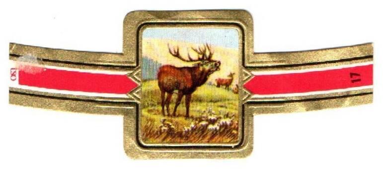 1_06-standard-7rpsdr.jpg