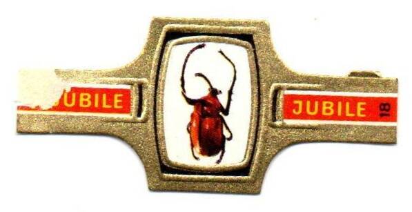 1_06-standard-a4fjuv.jpg