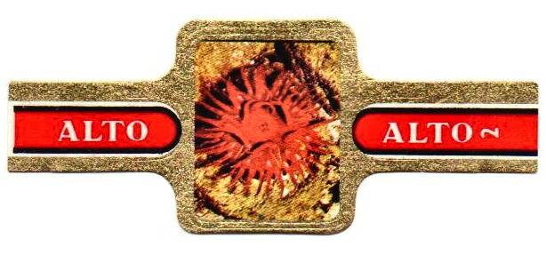 1_06-standard-r7sj46.jpg