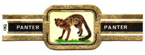 1_07-standard-7h987e.jpg