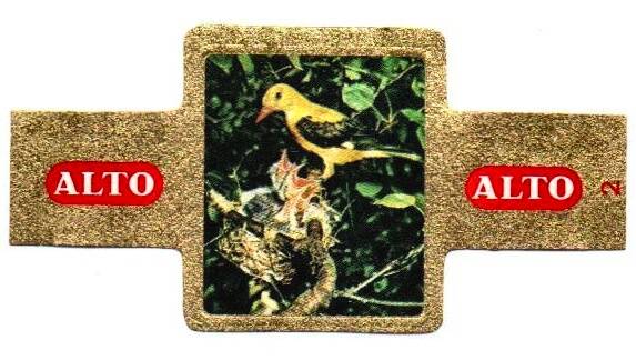 1_07-standard-bdfo7f.jpg