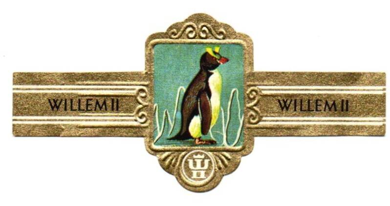 1_07-standard-jqrkk2.jpg