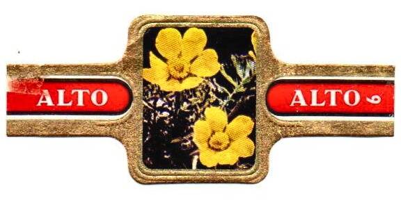 1_07-standard-xac5x0.jpg