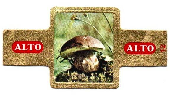 1_08-standard-8uaj2d.jpg