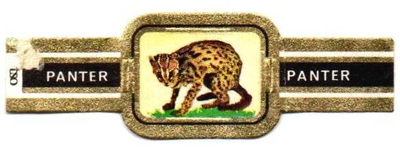 1_08-standard-bsisi3.jpg