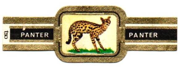 1_09-standard-wvo5ga.jpg