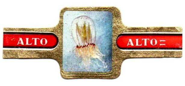 1_09-standard-yh3ygx.jpg