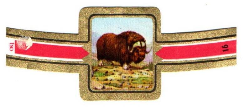 1_09-standard-zomggo.jpg