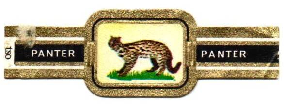 1_10-standard-dw7f82.jpg