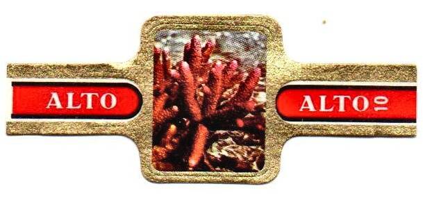 1_11-standard-uc4xit.jpg