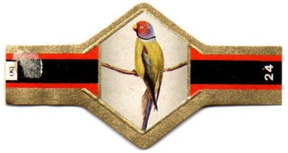 1_12-standard-3ce58o.jpg