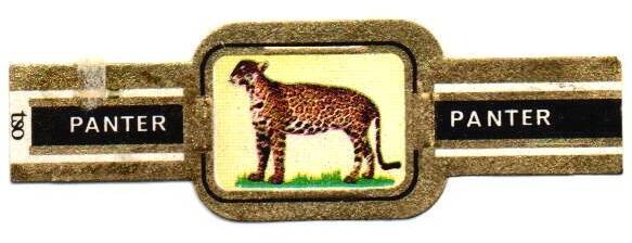 1_12-standard-w1o0l4.jpg