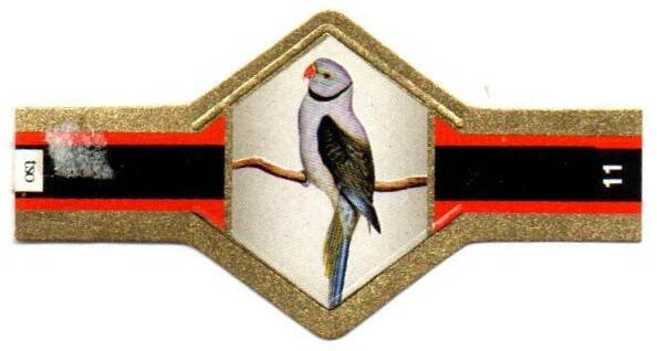 1_13-standard-551k9l.jpg