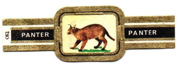 1_14-standard-h82brd.jpg