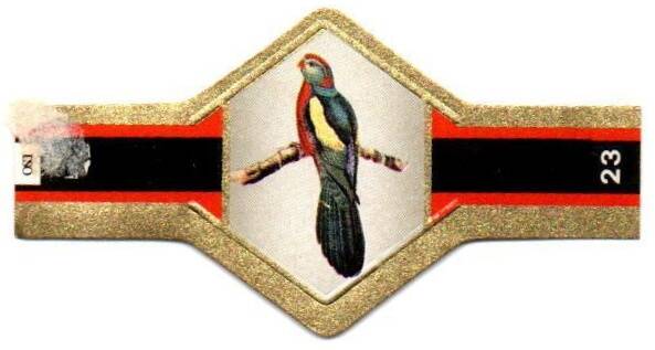 1_14-standard-p95tmb.jpg