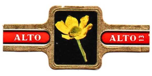 1_14-standard-rje61f.jpg