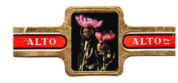 1_15-standard-oz3j08.jpg