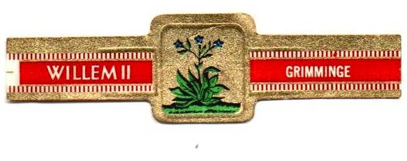 1_16-standard-4d6n83.jpg