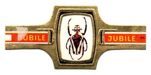1_16-standard-9f1jbv.jpg