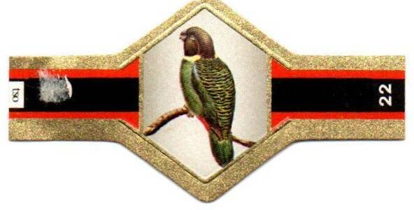 1_17-standard-iqh28u.jpg