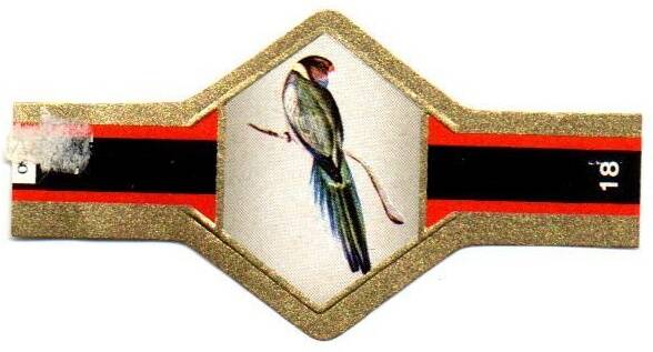 1_17-standard-qamun7.jpg
