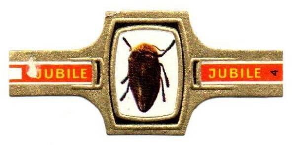 1_19-standard-1l7z61.jpg