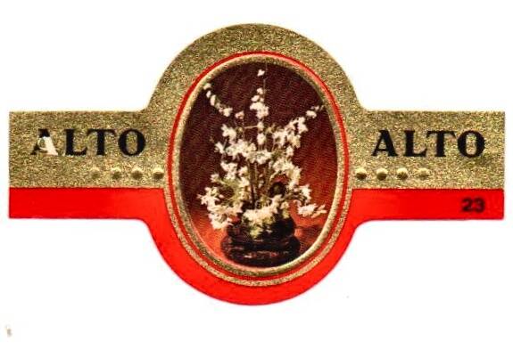 1_19-standard-on0d8x.jpg