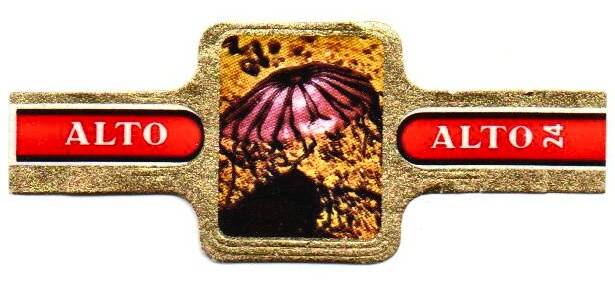 1_20-standard-l8at6k.jpg