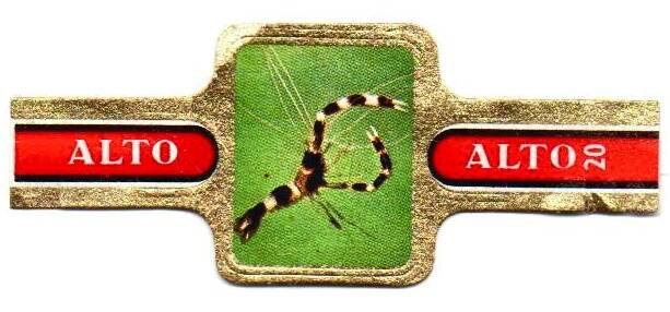 1_21-standard-4ca5vp.jpg