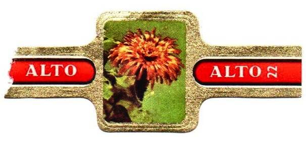 1_24-standard-kv5qrc.jpg